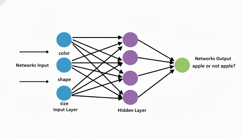 Neural network with 3 layers